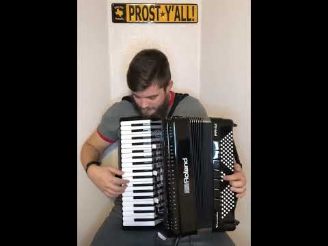 A Ja Sam Polka: Roland FR-4X V-Accordion