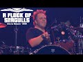 A Flock Of Seagulls - Rainfall - Live in Ontario 2019 Video HD