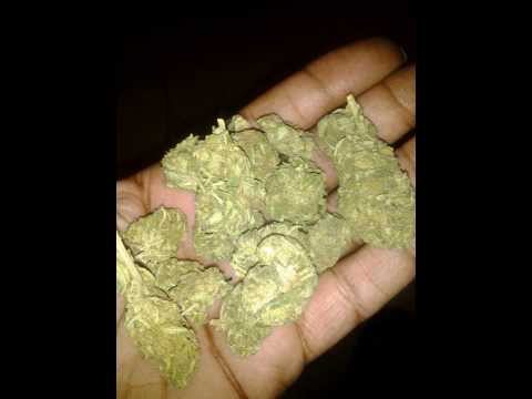 Reno V ft Dojia V Demon