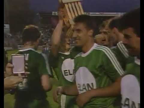 Rapid Wien: Rekordmeister aus Hütteldorf