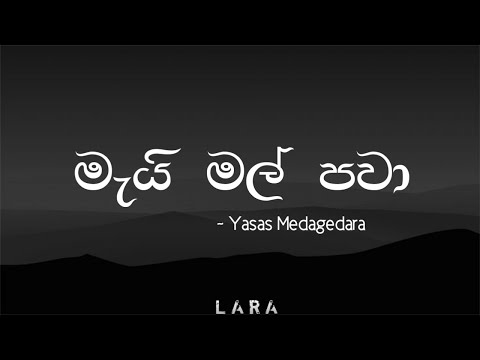 Mai mal pawa (මැයි මල් පවා) | Lyrics Video | Yasas Medagedara | Lara's lyrics