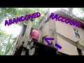 EXPLORING AN ABANDONED TREE HOUSE