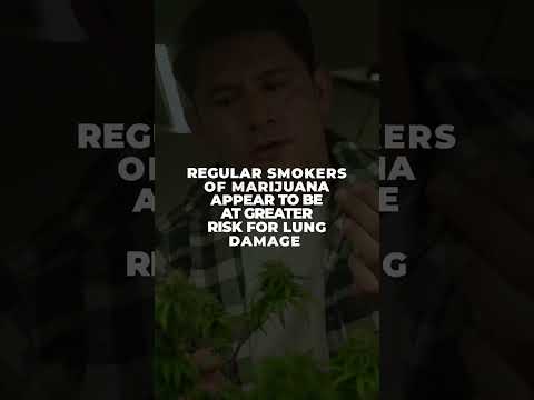 Marijuana and Your Risk of Lung Cancer #shorts
