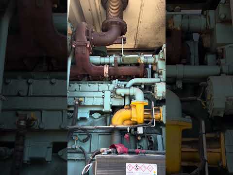 2006 MQ POWER CORPORATION DCA-600SSK WhisperWatt Generators | MD Equipment Services LLC (2)