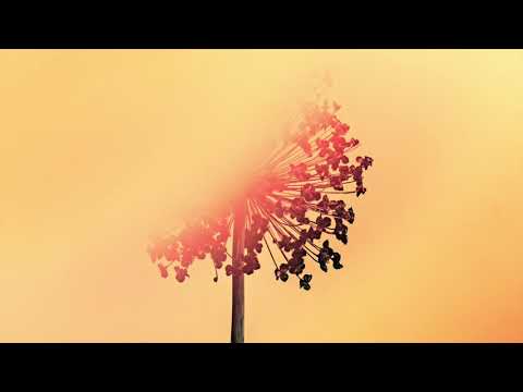 Gadi Mitrani - Back to Folly (Original Mix)