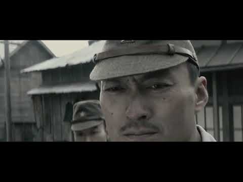 Aircraft Carriers and Battleships of the Imperial Japanese Navy