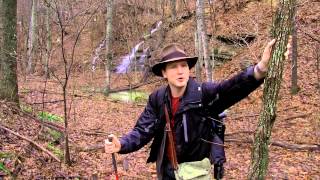 Polystrate Trees | Upright Trees Are Evidence of Catastrophe | David Rives