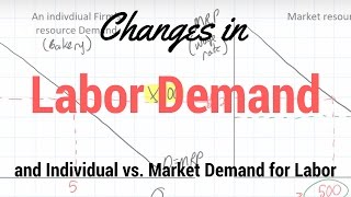 Changes in Resource Demand and Individual versus Market Demand for Labor