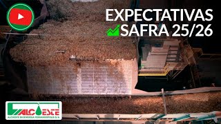 Alcoeste Bioenergia inicia safra 25/26 com expectativa de processar 2,15 mi/t