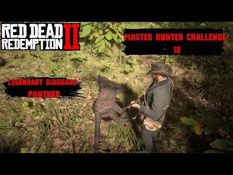 RDR2 Master Hunter Challenge 10 [Usta Avcı Mücadelesi 10] Legendary Panther Giaguaro