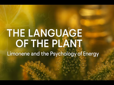The Language of the Plant Limonene and the Psychology of Energy