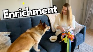FAVOURITE Dog Enrichment Toys & How I Prepare Them