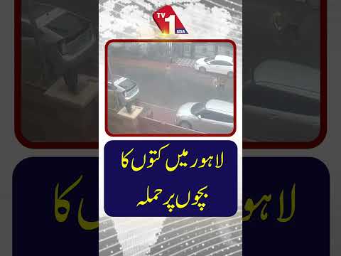 لاہور میں بچوں پر کتوں کا حملہ