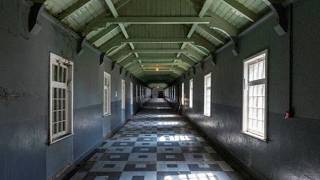 Madra Salach - Ribbon Factory video
