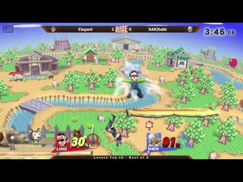 Rise 2017 Pro Bracket - Elegant (Luigi) vs SAK|Saiki (Sheik)