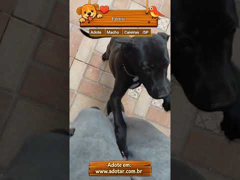Vídeo de Fenrir