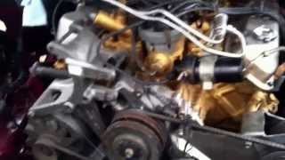 02 Crown Victoria "Juggernaut" 460 big block C6 trans gonna slay the game