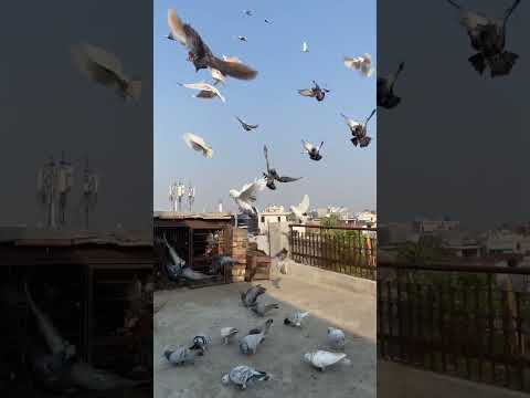 Let me talk a little 😂