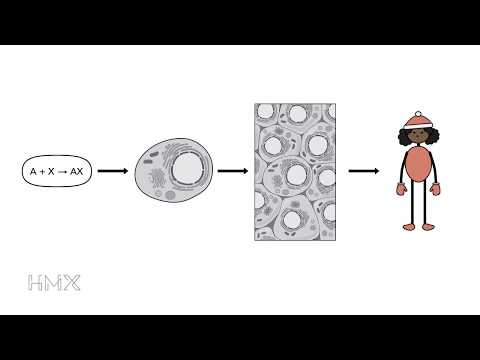 HMX Biochemistry - Course Preview