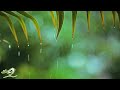 Relaxing Piano Music & Rain Sounds 24/7