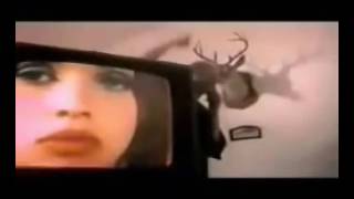 Desorden Público   Latex