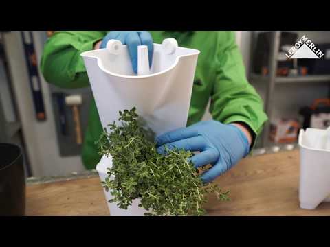 Cómo es un Minihuerto MINIGARDEN CÓRNER · LEROY MERLIN