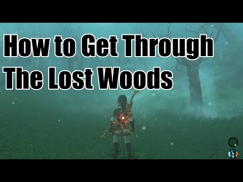 Lost Woods Guide | Breath of the Wild |