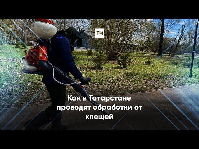 В парках и скверах Татарстана проводят обработку от клещей