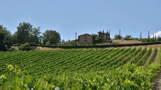 VIGNALE - Villas in Lecchi in Chianti, Siena, Tuscany