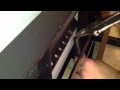 IMG 0295