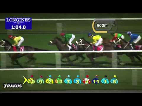 08.03.2014 Meydan (Dubai-UAE) 8.Race Jebel Hatta 2014 - Group I 1.800 m