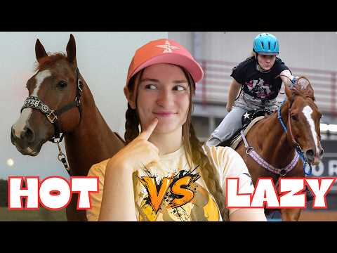 WINTER EQUESTRIAN DAY IN THE LIFE! Riding 2 Horses!