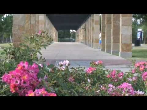 Addison - Your Destination