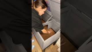 New home from turtle ? / Eva Miller TikTok #evamiller #tiktok #shorts #video #trending #ytshorts