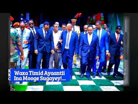 Waxa Timid Ayaantii Ina Mooge Sugayey!.