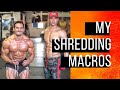 calculate your macros in 18 seconds