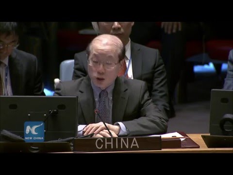 Chinese envoy calls for strict implementation of cessation of hostilities in Syria