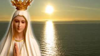 Pelas estradas da vida nunca sozinho está contigo pelo caminho Santa María Vai