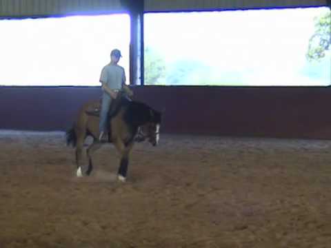 Hollywood Shootout - 2 year old reining prospect