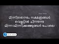 Minnithennum Nakshathranagal Song HD Karaoke With Lyrics Niram Movie
