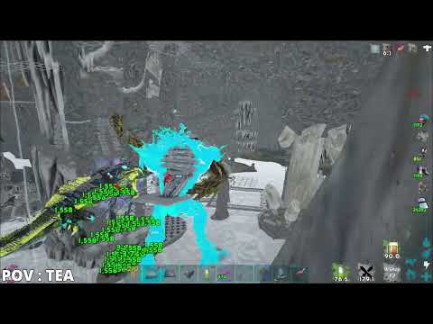 Best Tribe Fobbing Everybody in 2 Weeks | FUSION 25X ASE | JOP