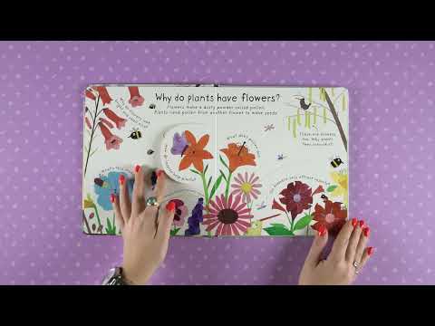 Книга Lift-the-Flap First Questions and Answers: How Do Flowers Grow? video 1