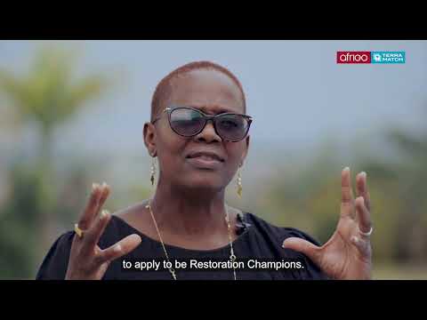 TerraFund for AFR100 Landscapes | A Message from Wanjira Mathai