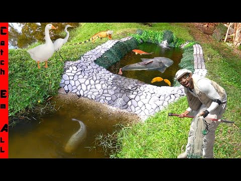 ADDING STONE and HYDRO PUMPS to the BACKYARD WATERFALL BUILD for My EXOTIC PETS!