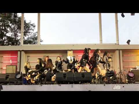 Bite me (End) / Berry Berry / Cat expo 9 / 12-11-22