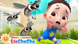 Download lagu Lagu Nyamuk🦟 | Lagu Gatal Gatal | Lagu Lucu | Lagu Anak-anak | ☀️LiaChaCha Bahasa Indonesia mp3