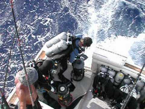 The fuggedaboudit wreck.