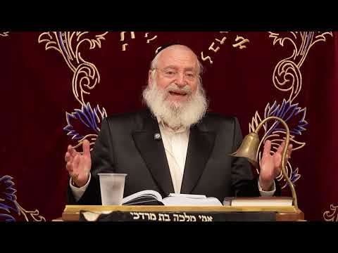 תפילה על החולה | שיעור שבועי מאת מרן הרב אשר וייס שליט"א (פרשת בהעלותך תשפ"ו)