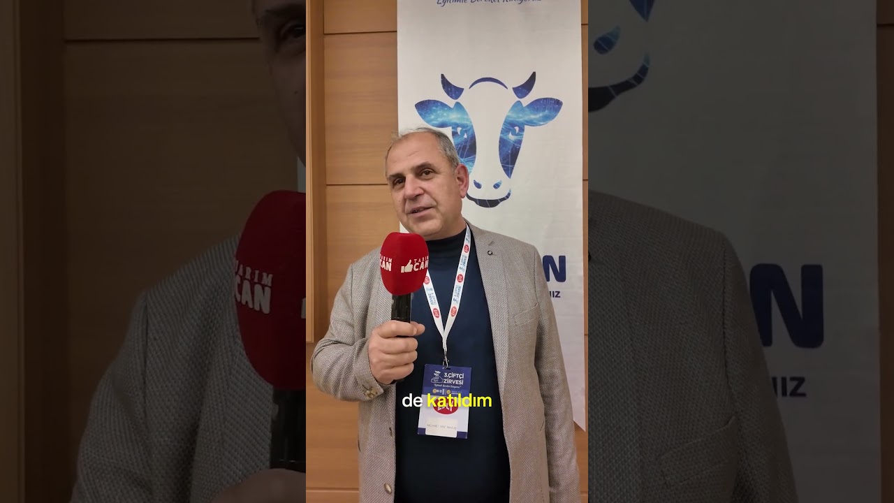 Mehmet Arif Mavuş