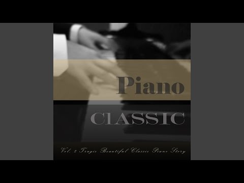 베토벤 월광 소나타 1악장 (Beethoven Sonata No.14 'Moonlight' Op.27 1st Movt)